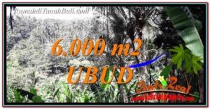 Magnificent 6,000 m2 LAND IN Ubud Payangan FOR SALE TJUB750