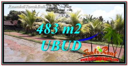 Affordable PROPERTY LAND IN UBUD FOR SALE TJUB752