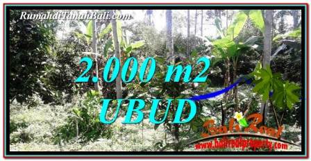 FOR SALE Affordable LAND IN Ubud Tegalalang BALI TJUB747