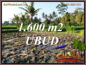 Magnificent UBUD BALI LAND for SALE TJUB807