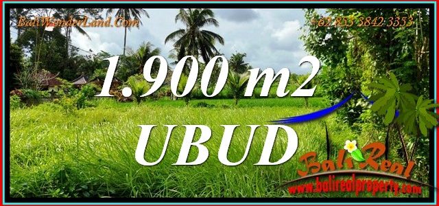 FOR SALE Magnificent LAND in UBUD BALI TJUB811