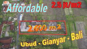 Magnificent PROPERTY 2,600 m2 LAND SALE in UBUD TJUB848