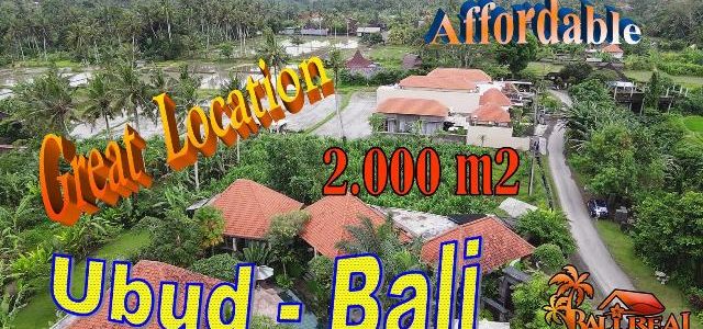 Cheap property LAND for SALE in Sukawati Ubud TJUB854