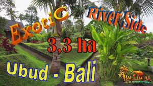 Affordable LAND for SALE in UBUD BALI TJUB857