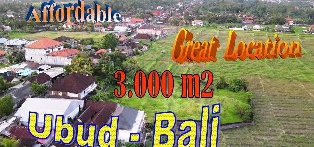 FOR SALE Beautiful LAND in UBUD BALI TJUB859
