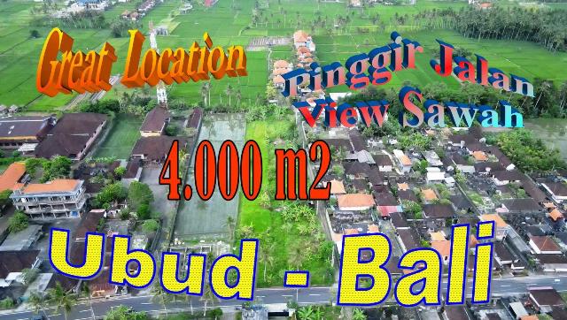 FOR SALE Exotic 4,000 m2 LAND in Sukawati Ubud BALI TJUB862