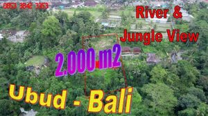 Beautiful 2,000 m2 LAND SALE in Tegalalang Ubud BALI TJUB867