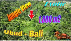 Affordable 1,800 m2 LAND SALE in Ubud Tegalalang BALI TJUB872