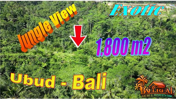 Ubud Tegalalang BALI 1,800 m2 LAND for SALE TJUB872