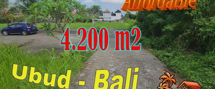 Exotic PROPERTY LAND for SALE in Sukawati Ubud BALI TJUB868