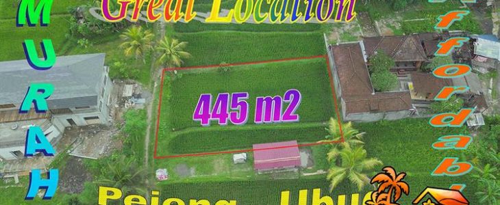 Cheap Beautiful Strategic, Land for sale in Pejeng Ubud Gianyar Bali TJUB878