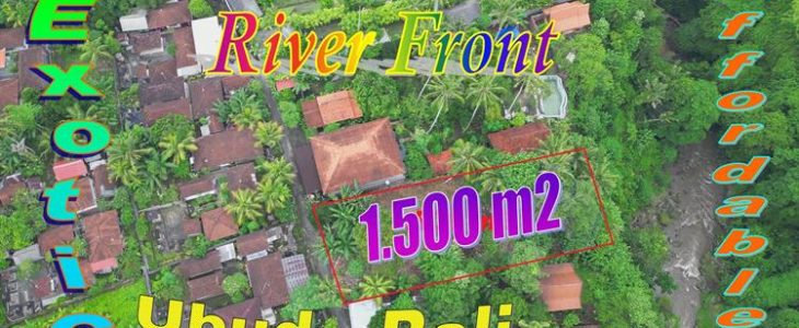 AFFORDABLE LAND FOR SALE IN UBUD BALI, EXOTIC JUNGLE VIEW BY PETANU RIVER TJUB880